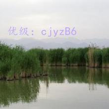ĺ֮