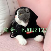 ˫