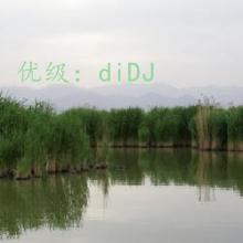 Ŭ