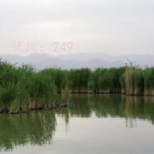 ĺ֮